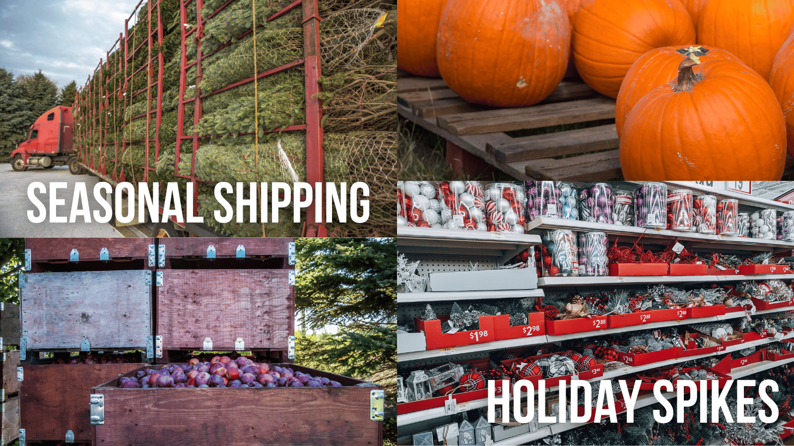 HS Email or Blog Content Box (24)