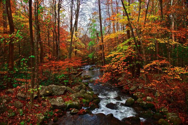 Roaring Fork Motor Trail, Gatlinburg, Tennessee